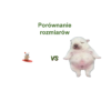 porównanie_2 Pies surfer na desce – figurka 3D, pibble, ozdoba biurka, prezent