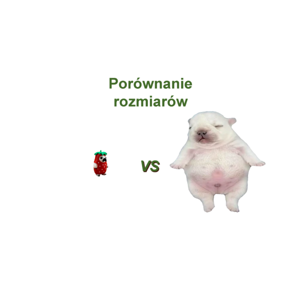 Pies w kostiumie truskawki – figurka 3D, ozdoba biurka, prezent